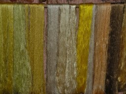 La_Palma_Lanzarote_2003-2004-002